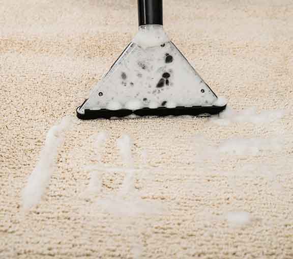 The image shows a rug being professionally cleaned using a vacuum. dirty water is being removed in the Rug.