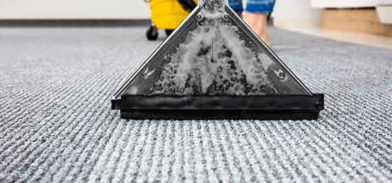 The image shows a rug being professionally cleaned using a vacuum. dirty water is being removed in the Rug