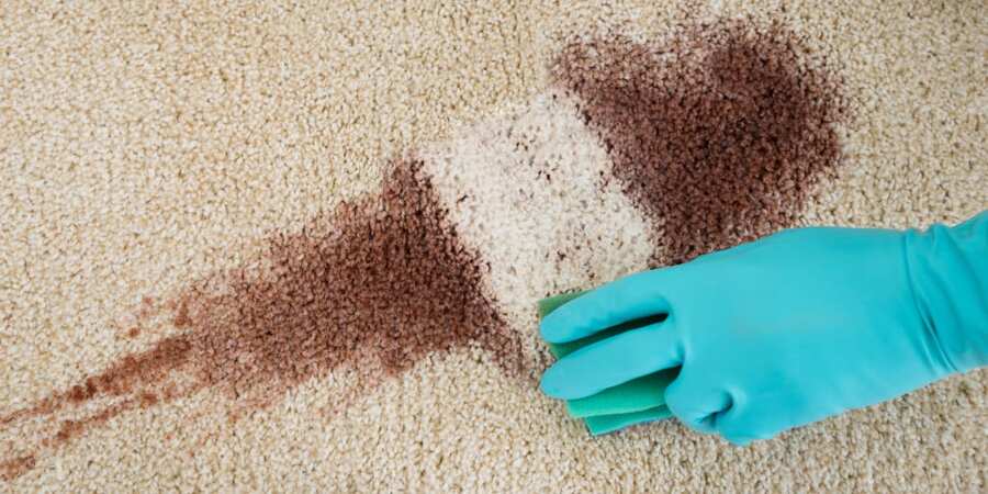 This image shows stains being removed on a carpet.