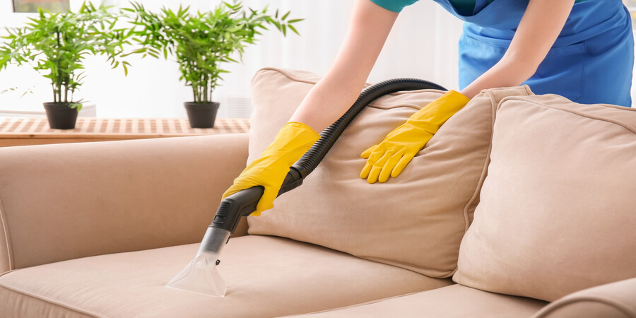 This image shows a sofa being cleaned.