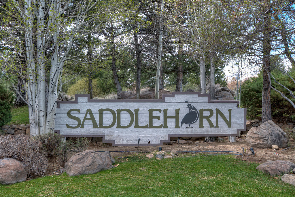 This image shows the neighborhood of Saddlehorn